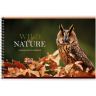 Альбом для рисования 40л., А4, на гребне BG "Wild nature" фото 3 — PalitraMastera