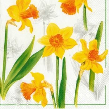 Салфетки бумажные для декупажа, 33х33 см, "Нарциссы, белый" фото 1 &mdash; PalitraMastera