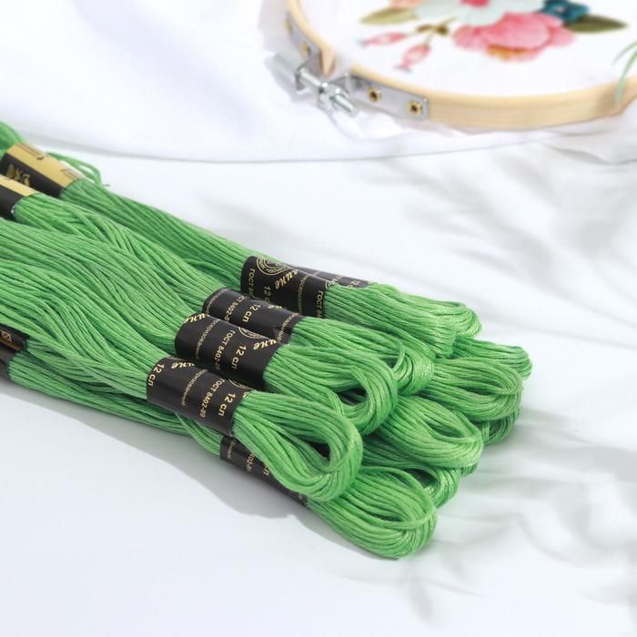 Нитки мулине, 10 ± 1 м, цвет мятный №3904 — PalitraMastera