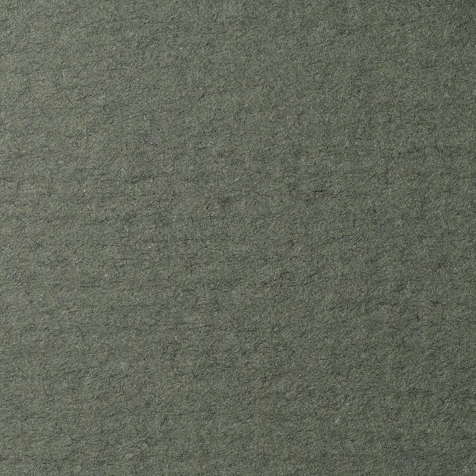 LANA Бумага для пастели, 160г, виридоновый зеленый, 21х29,7 ( хлопок 45%) фото 1 — PalitraMastera