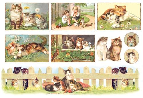 Бумага рисовая для декупажа Stamperia, 1 лист, 48х33 см   . фото 1 — PalitraMastera