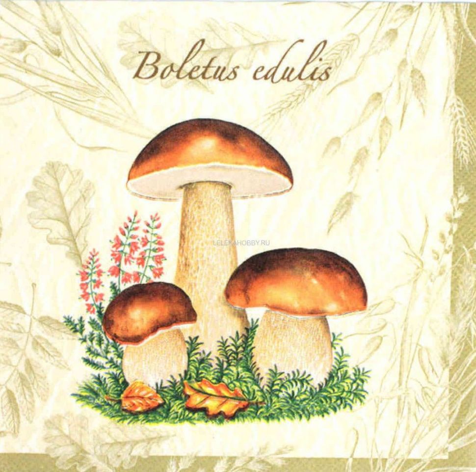 Салфетки - трехслойные, Maki, 33х33 см, три гриба, осенние листья, колос фото 1 — PalitraMastera