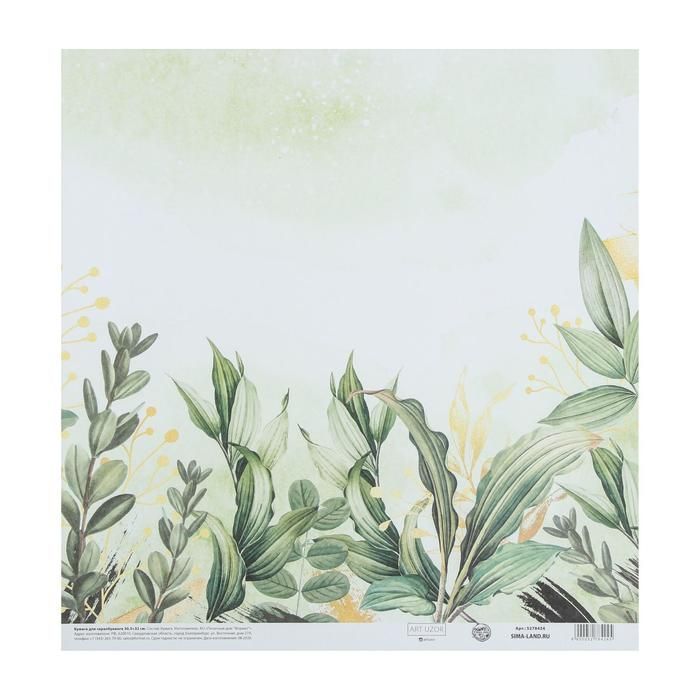 Бумага для скрапбукинга «Зелень», 30.5 * 32 см, 190 г/м 5278424 — PalitraMastera