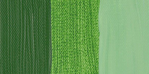 Акриловые краски Galeria, 60мл, зеленая крушина фото 1 &mdash; PalitraMastera