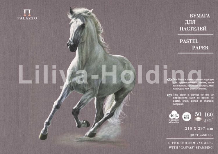 Бумага для паст.&quot;Палаццо&quot; 210х297 &quot;Аshes&quot; (коричневый) 160г — PalitraMastera