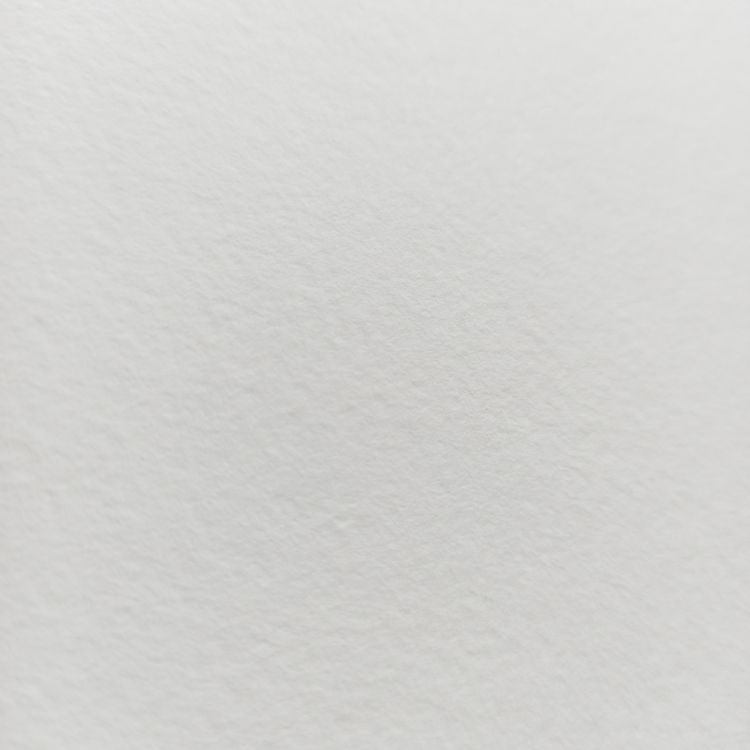 Планшет д/акварели серия (ботаника) &quot;Артишок цветет&quot; А5 (148х210) 200г, 70% хлопка 20 л., ЛХ — PalitraMastera