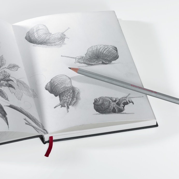 АЛЬБОМЫ И ПАПКИ