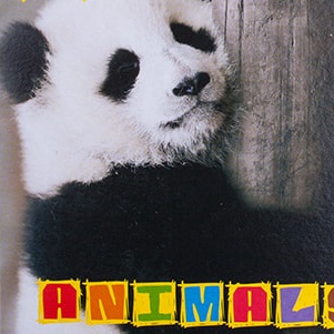 КАРАНДАШИ ЦВЕТНЫЕ  KOH-I-NOOR