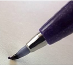 PENTEL Brush Sign Pen