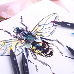 СОНЕТ АКВАМАРКЕРЫ